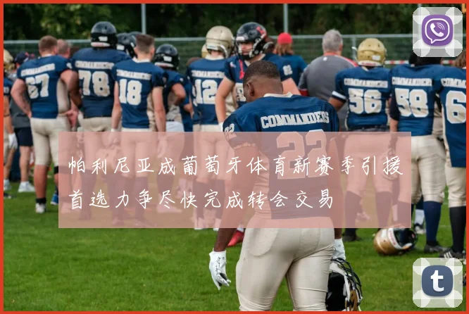 帕利尼亚成葡萄牙体育新赛季引援首选力争尽快完成转会交易