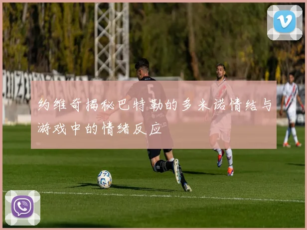 约维奇揭秘巴特勒的多米诺情结与游戏中的情绪反应