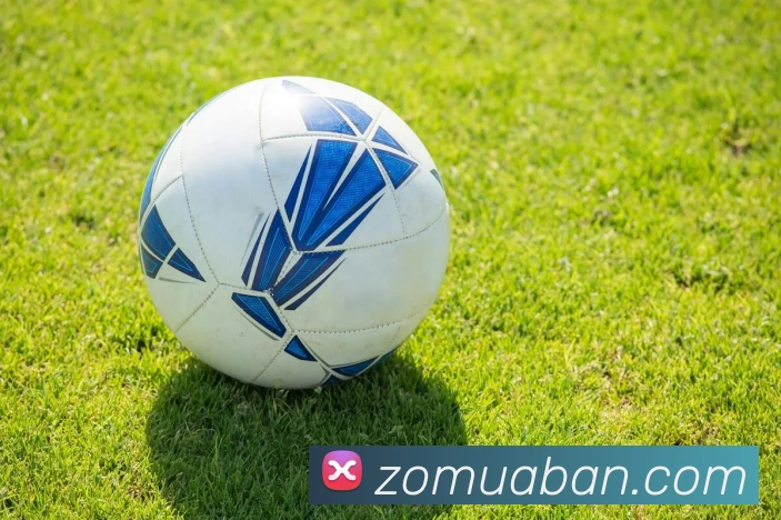 bsports官网入口APP 高清赛事图